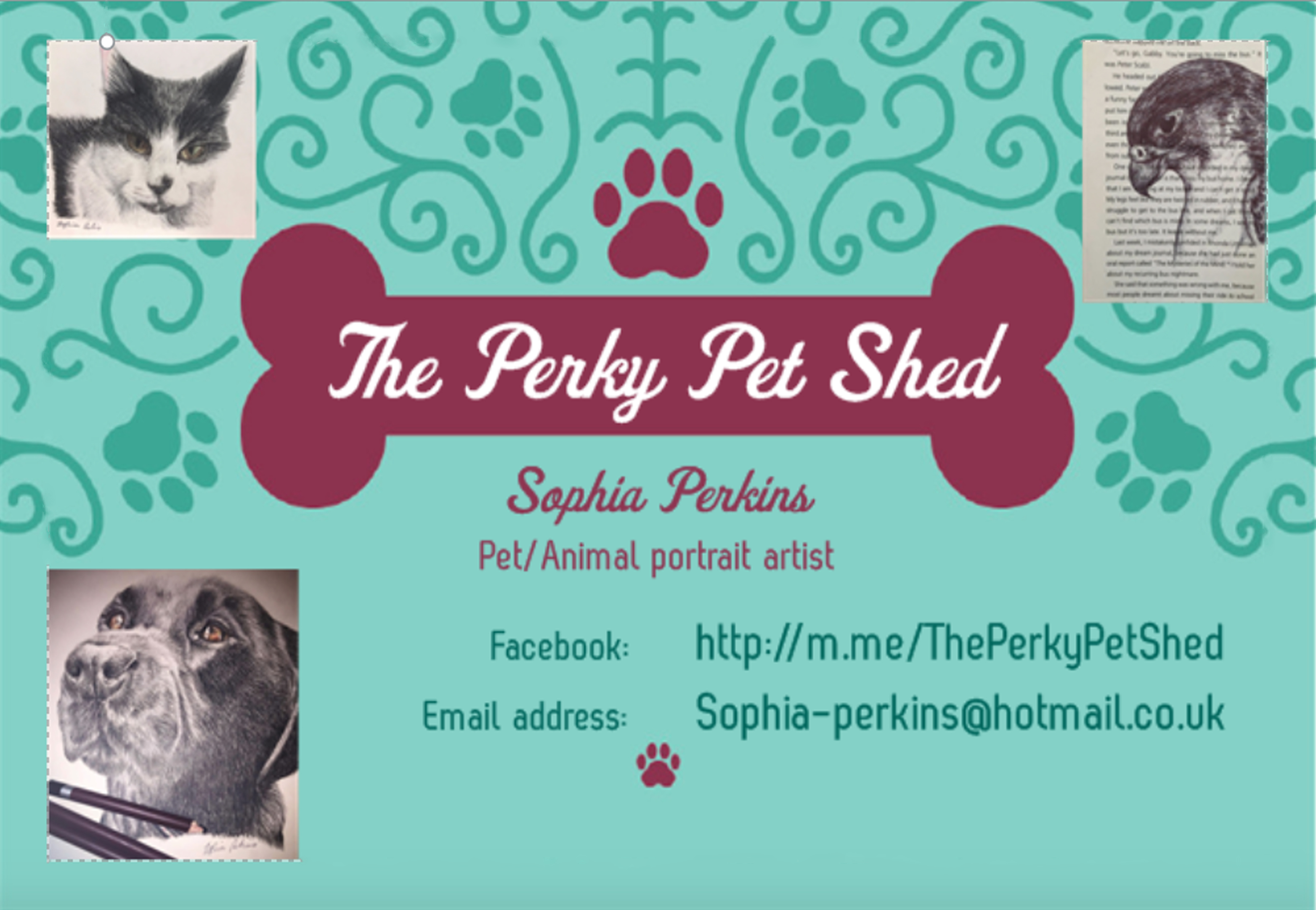 perky pet shed The Teenage Market